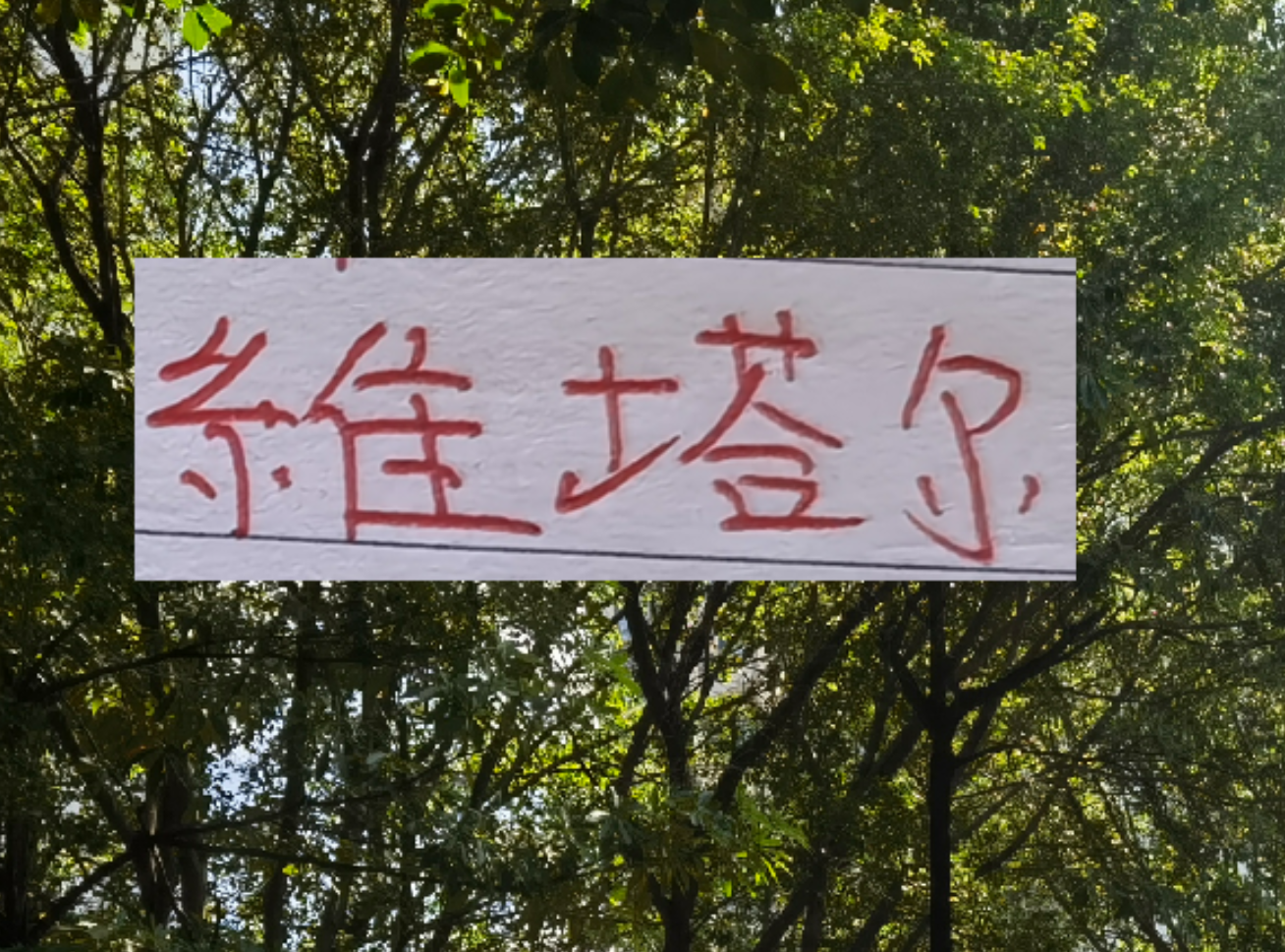杏彩体育登录入口-上个赛季中超前4的十号 就海港10号维塔尔助攻最多 出场也最多